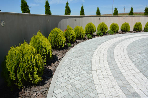 Best Affordable Driveway Pavers  in River Oaks, TX
